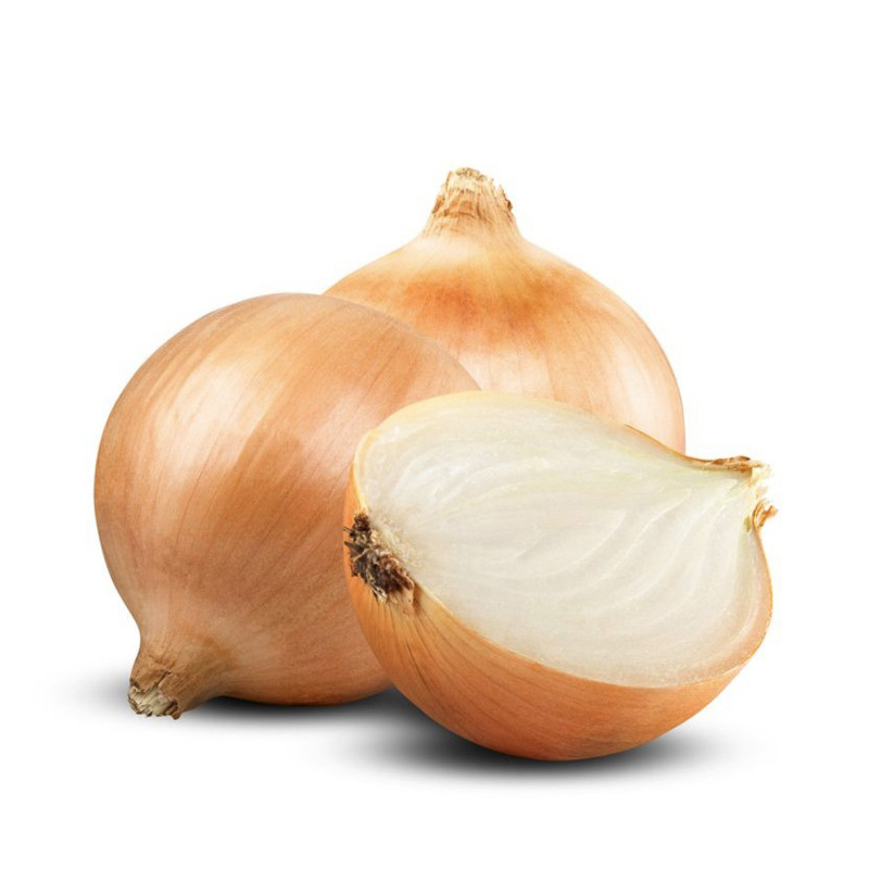 onion_800